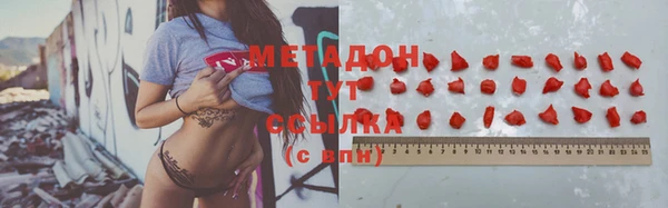 индика Алексин