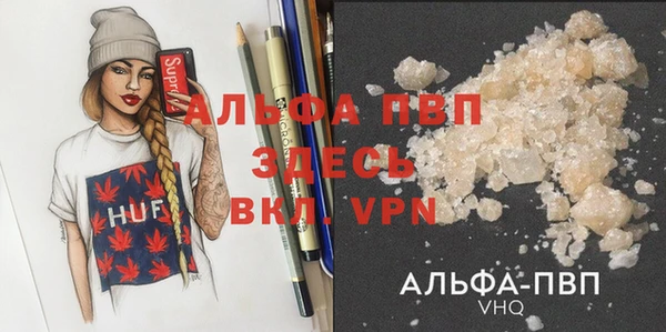 индика Алексин