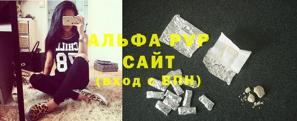 индика Алексин