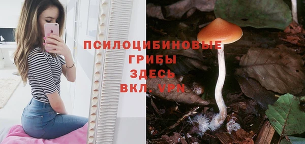 эйфоретик Алзамай