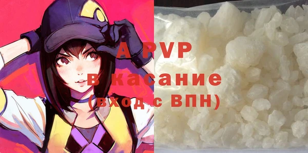 индика Алексин