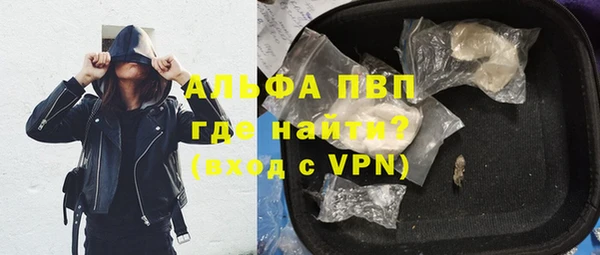 индика Алексин